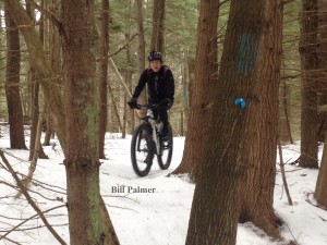 January 2016: Bill Palmer biking in the town forest with studded tires.